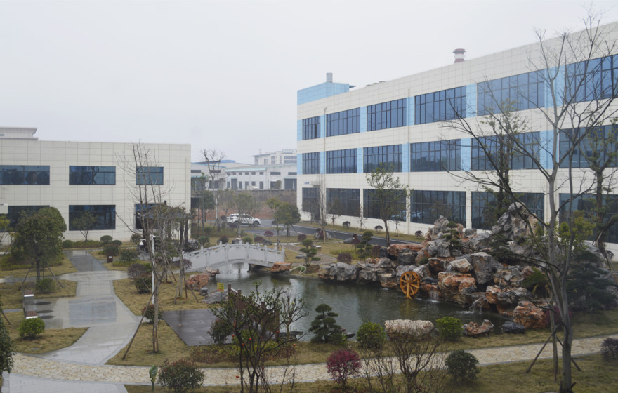 Company Environment